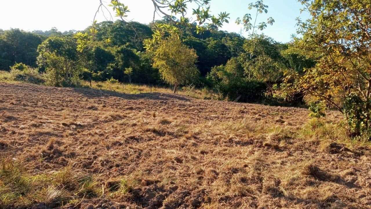 Camacã: Prefeitura chega a 25 agricultores beneficiados na aração de terras


